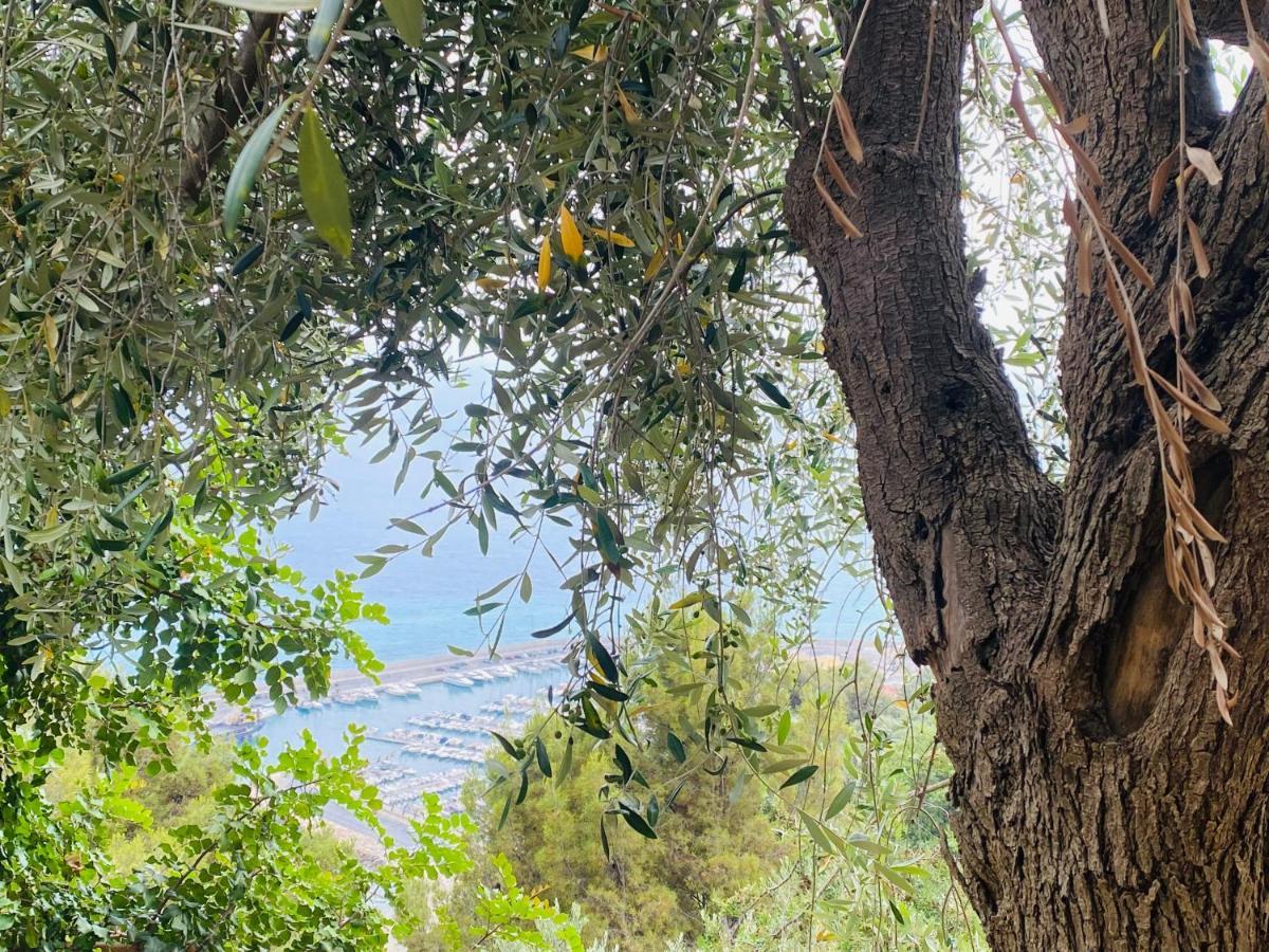 “Da Senso” Relax Nel Verde Vista Mare Finale Ligure Exterior foto