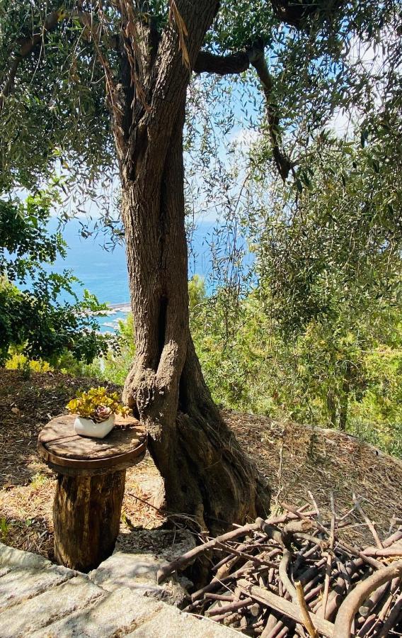 “Da Senso” Relax Nel Verde Vista Mare Finale Ligure Exterior foto